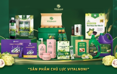 Nước cốt nhàu Vitalnoni: thành phần, cách dùng đúng và ai nên thận trọng