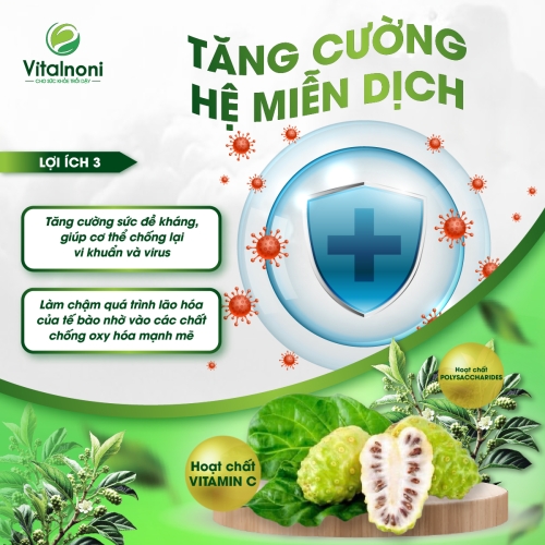 TĂNG CƯỜNG HỆ MIỄN DỊCH