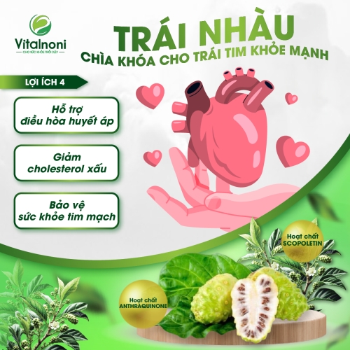 BẢO VỆ SỨC KHỎE TIM MẠCH