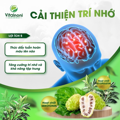 CẢI THIỆN TRÍ NHỚ
