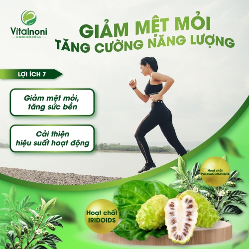 GIẢM MỆT MỎI TĂNG CƯỜNG NĂNG LƯỢNG