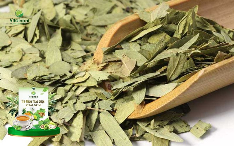 Trà phan tả diệp (senna) trị táo bón