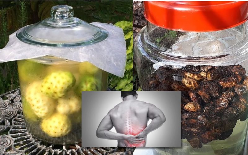 Cách ngâm rượu trái nhàu (dùng nhàu tươi và nhàu khô)