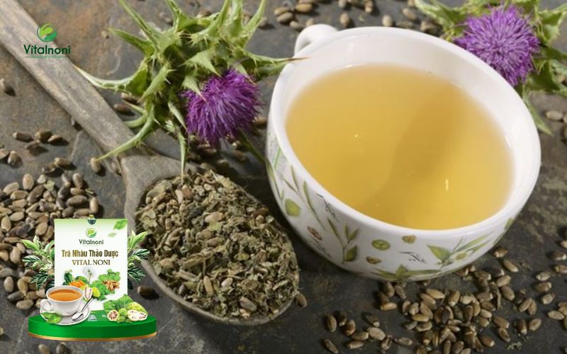 Trà cây kế sữa đào thải độc tố cơ thể