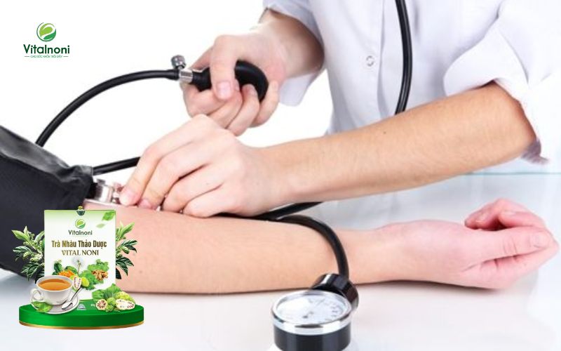 Cơ chế tác động của trà trái nhàu giúp ổn định huyết áp