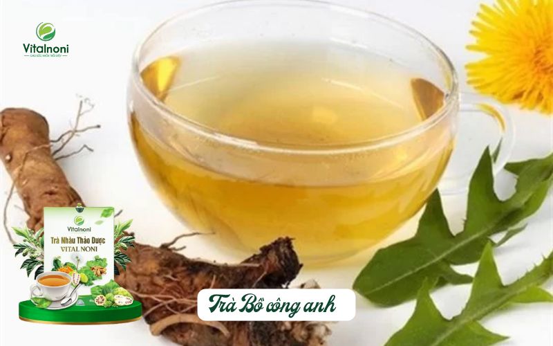 Trà bồ công anh