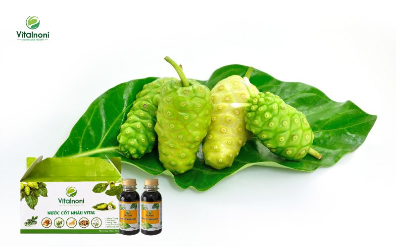 Quả nhàu (Noni) có công dụng tăng cường hệ miễn dịch