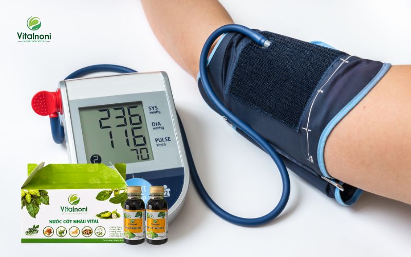 Trái nhàu hỗ trợ điều trị cao huyết áp và bảo vệ sức khỏe tim mạch