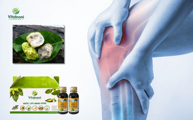 Trái Nhàu Giảm đau nhức xương khớp và chống viêm hiệu quả