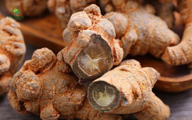 Bài thuốc từ Củ tam thất trị u mỡ