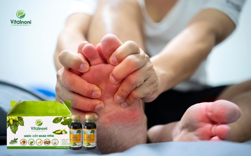 Trái Nhàu giúp giảm nồng độ axit uric, hỗ trợ người bệnh Gout