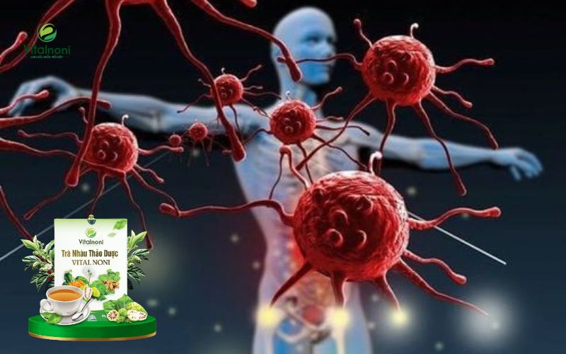 Lưu ý khi sử dụng trà thảo mộc để đào thải độc tố