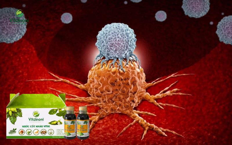 Tiềm năng của trái nhàu trong việc ức chế tế bào ung thư