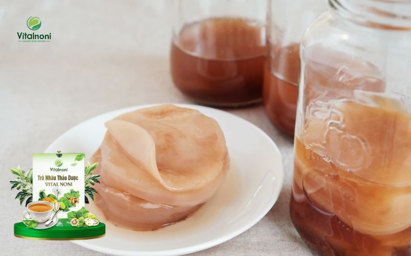 Đồ uống lên men tự nhiên tác động lên hệ vi sinh đường ruột và hệ miễn dịch