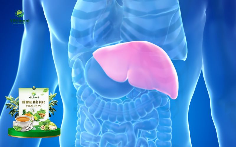 Hỗ trợ thải độc gan, thanh lọc cơ thể để có làn da khỏe mạnh