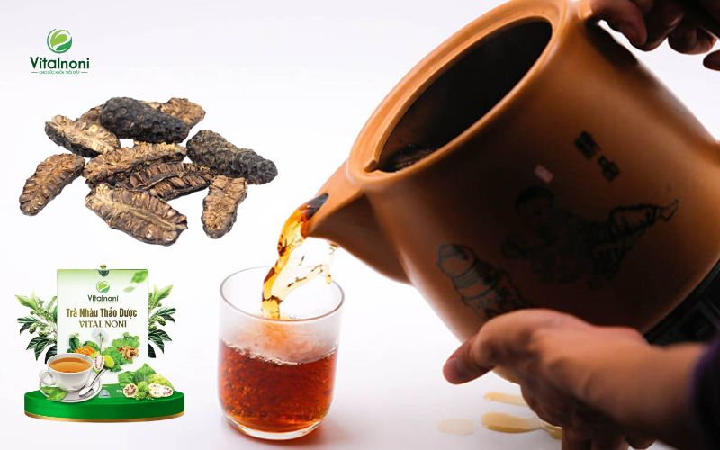 Trà trái nhàu khô hiệu quả trong việc hỗ trợ điều trị cao huyết áp
