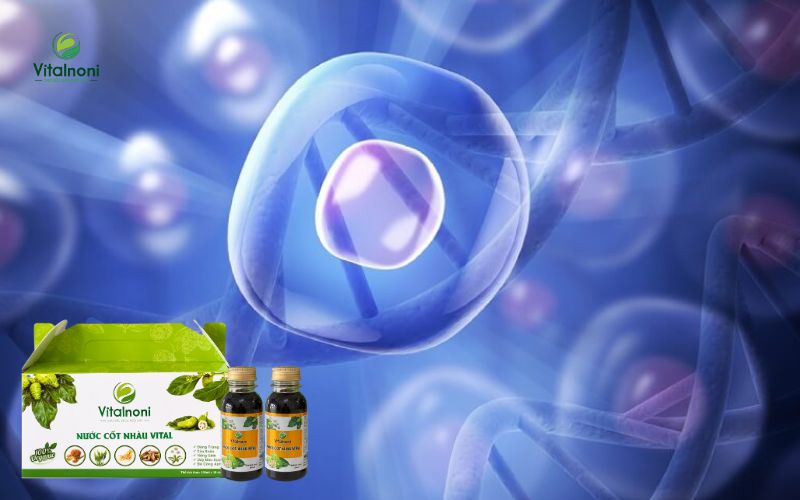 Liệu pháp tế bào gốc