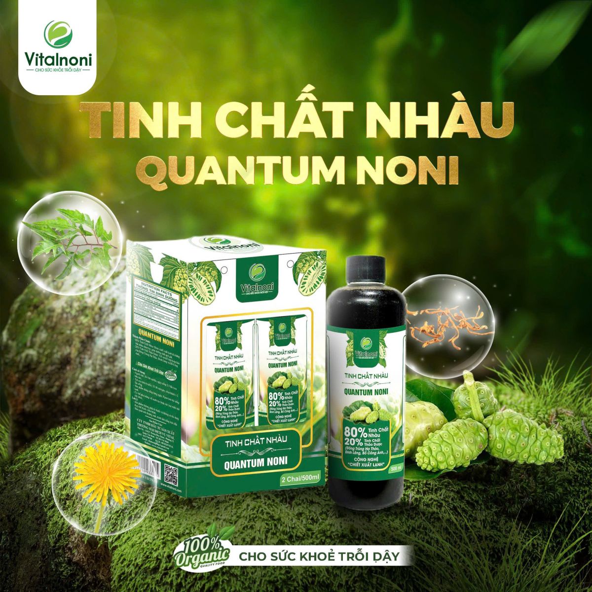 Thành Phần Độc Đáo Của Tinh Chất Nhàu Quantum Noni